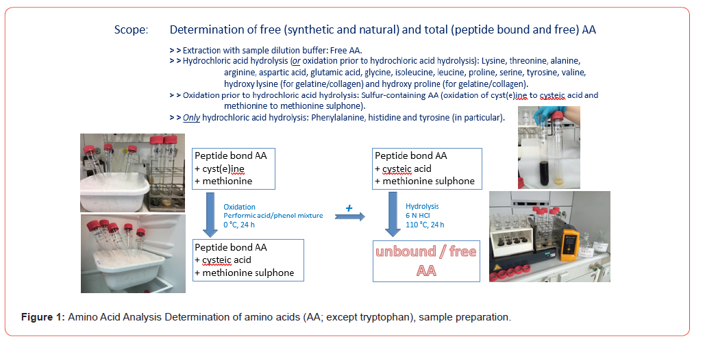 Click here to view Large Figure 1 Insights in Chemistry and Biochemistry
